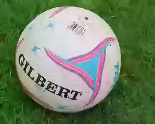 When will Netball become a professional sport?